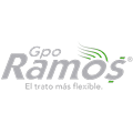 GRUPO RAMOS AGENTE DE SEGUROS Y FIANZAS SAPI DE CV.png